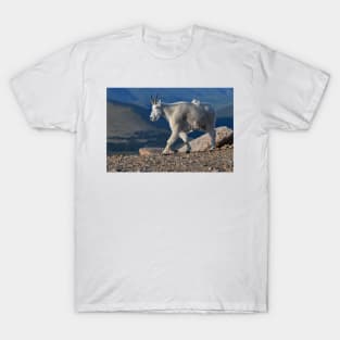 Sky Life T-Shirt